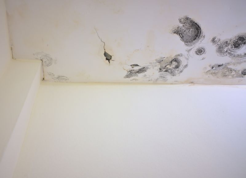 Ceiling Crack Repair