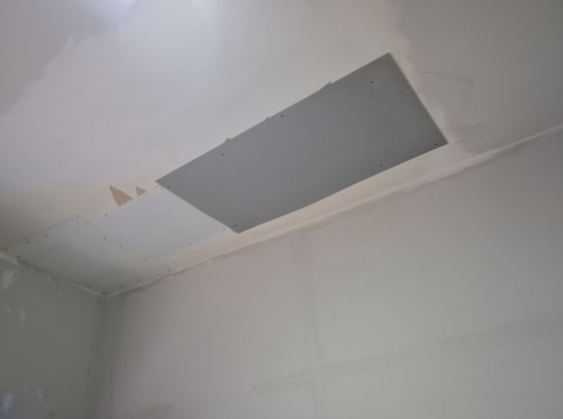 Dry Season Ceiling Repair